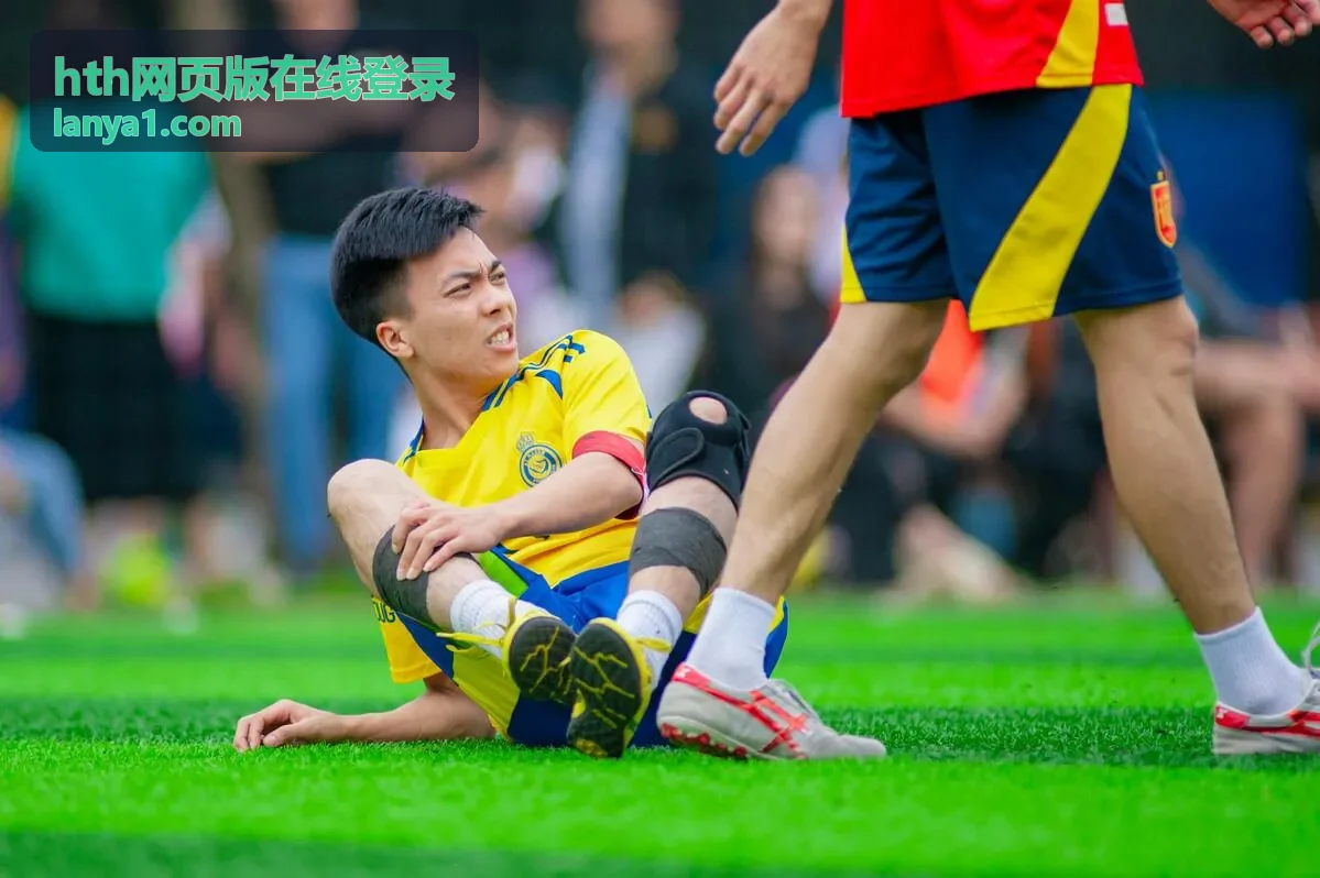 hth网页版在线登录服务商分级权限协作场景